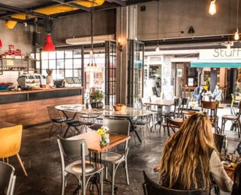 <center><font " color="red"><b>Cafe İlaçlama</b></font></center>