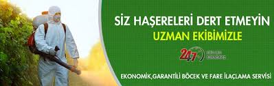Kokusuz ilaçlama