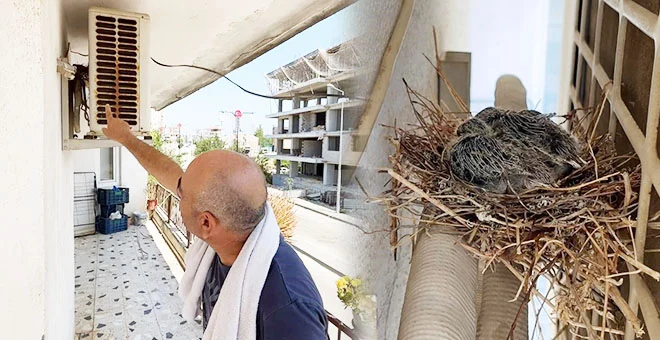 Kuş Yuvası Bit Yapar mı? Balkon ve Klima Dış Ünitesi Riskleri